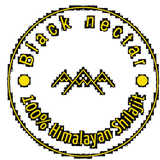 Black Nectar